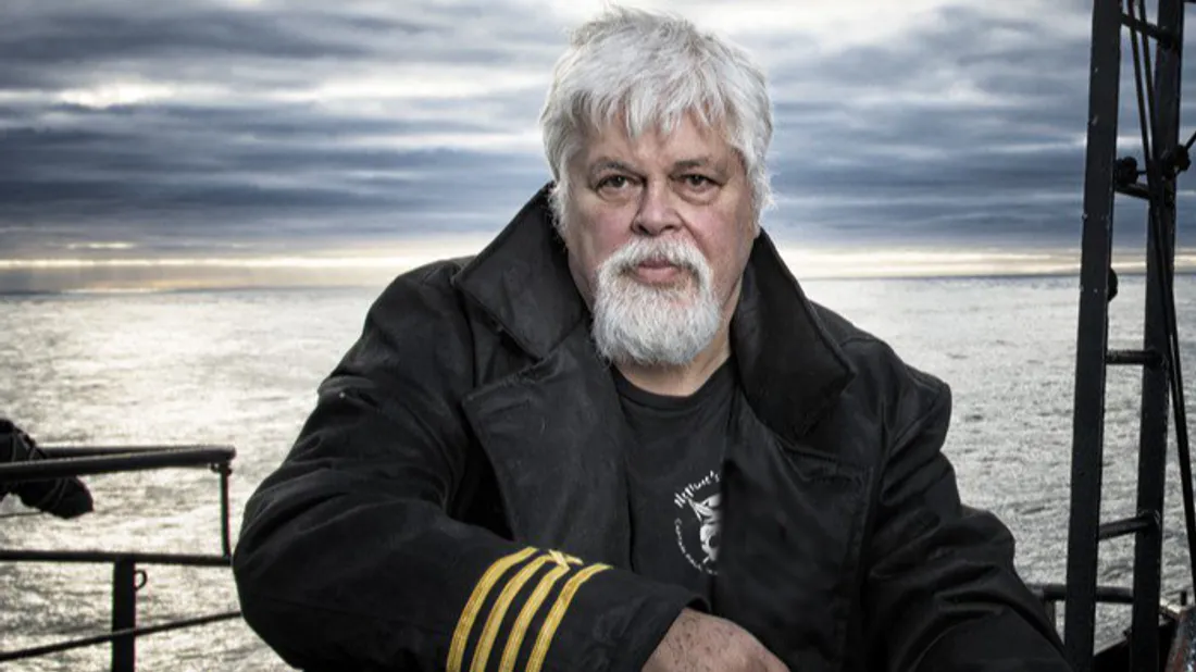 Plusieurs artistes français soutiennent Paul Watson dans une chanson.