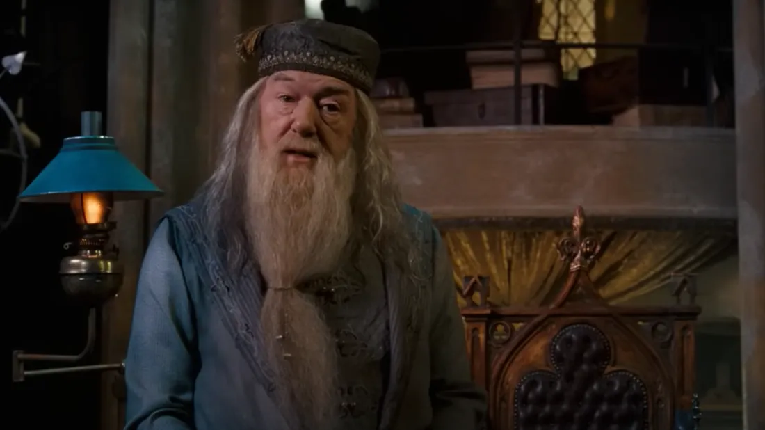 Dumbledore a notamment été incarné par Michael Gambon.