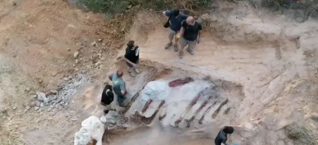 Joël Silva a découvert l’os d'un des plus grands dinosaures du continent européen. 