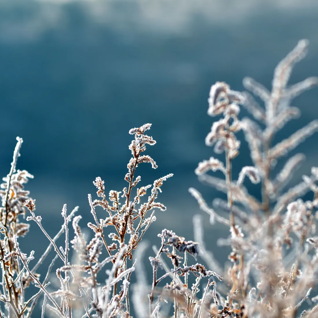 Photo d'illustration