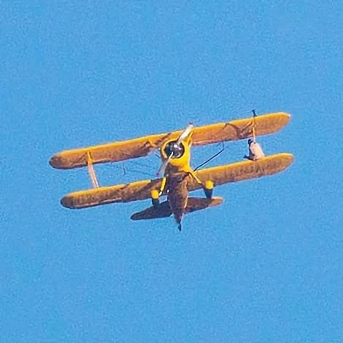 Tom Cruise en pleine cascade pour MI8