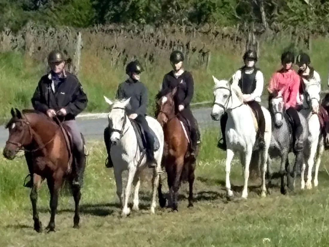 Les Écuries de Brandeau vous attendent pour vivre des balades à cheval inoubliables tout l’été.