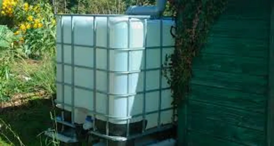 Image d'illustration