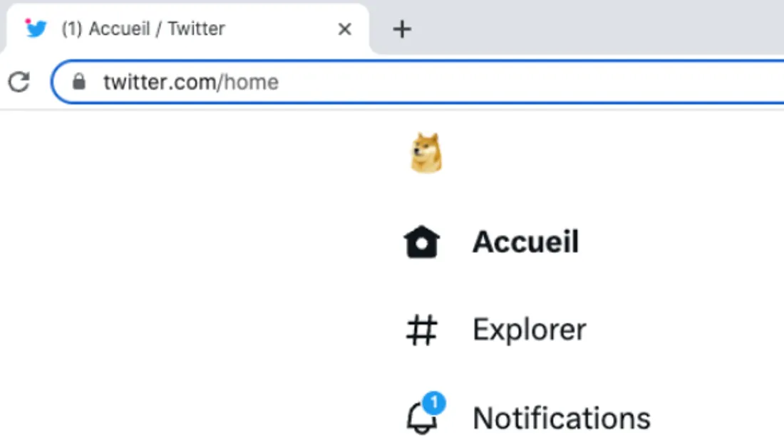 Le logo de Twitter n'est plus un oiseau bleu mais un chien.