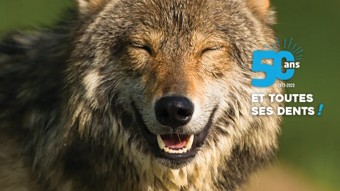 Le parc des Deux-Sèvres fête cette année ses 50 ans.