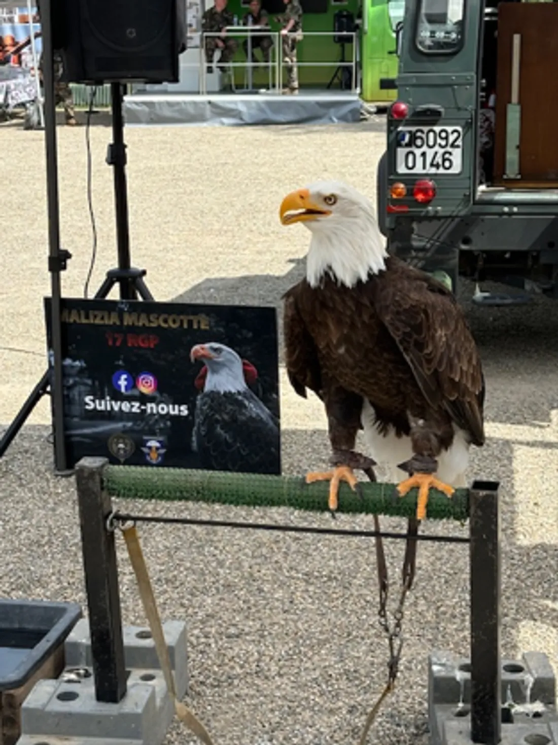 Malizia est la mascotte du 17e Régiment du Génie Parachutiste de Montauban.