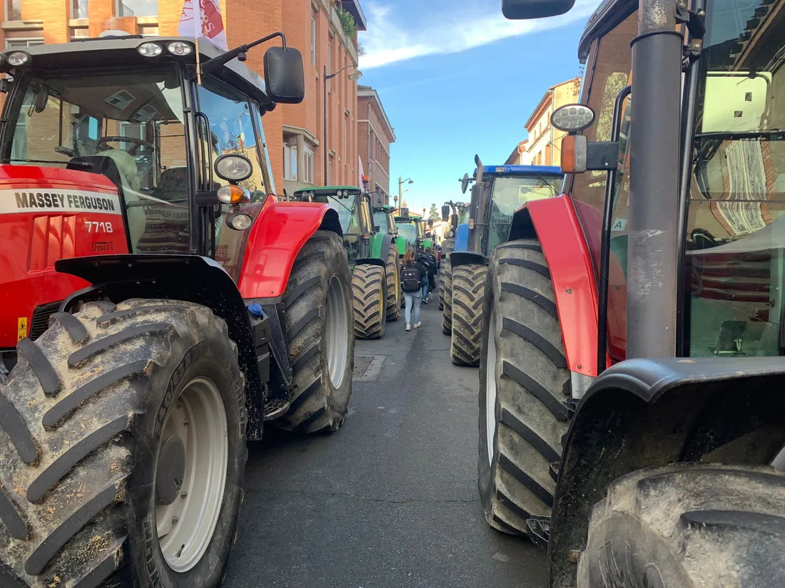 Manifestation des agriculteurs à Albi (Tarn) le 14 novembre 2023