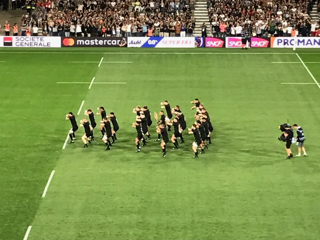 All Black Toulouse Namibie