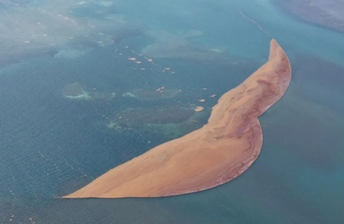 Martinique : Le barrage anti-sargasses