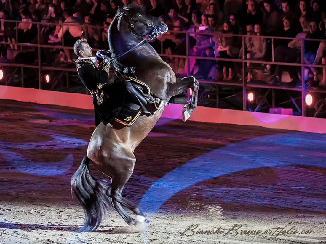 cavaledis-grandemotte