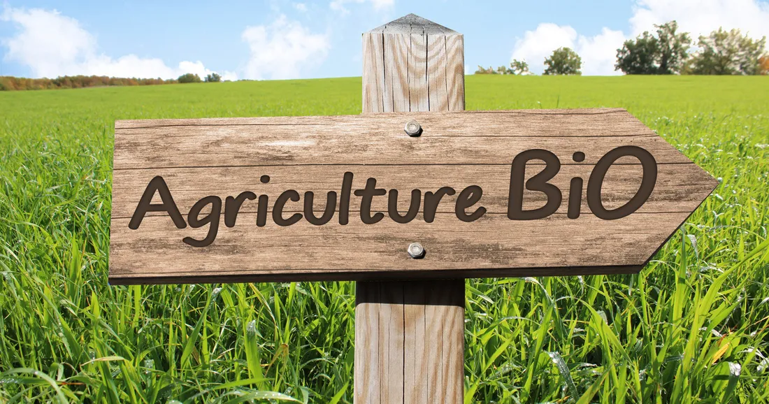 L'agriculture biologique, spécialité de la région Occitanie.