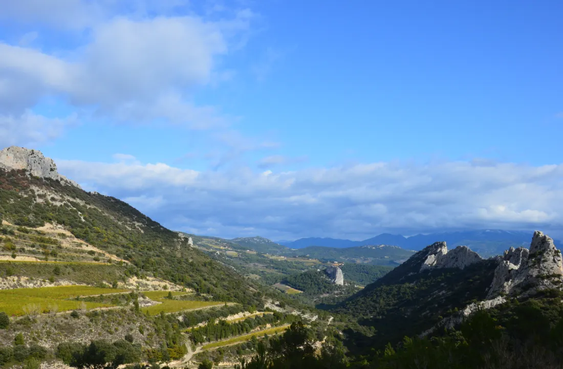 Dentelles de Montmirail