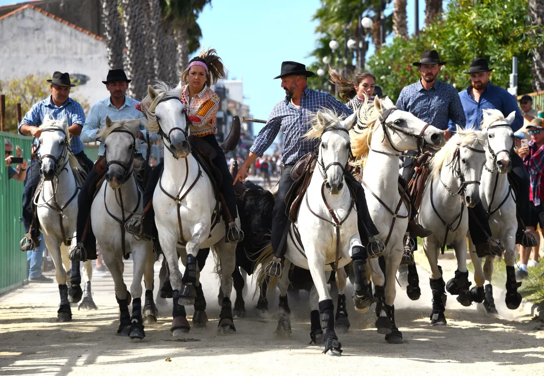 Fête votive du grau du roi