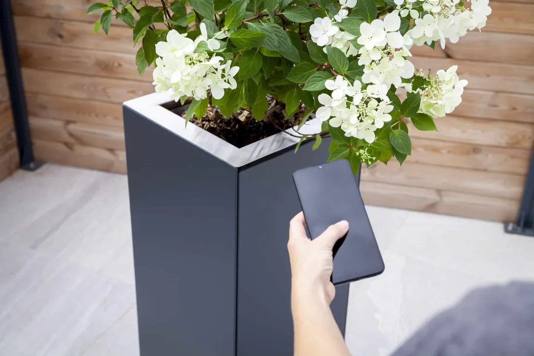 Ma Boîte à Moustiques au salon Sett, à Pérols.