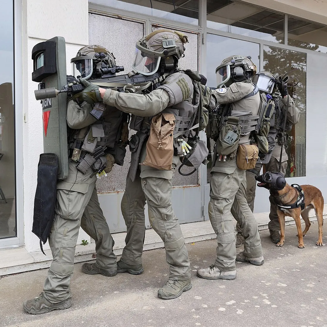 Une colonne d'assaut du GIGN (image d'illustration)