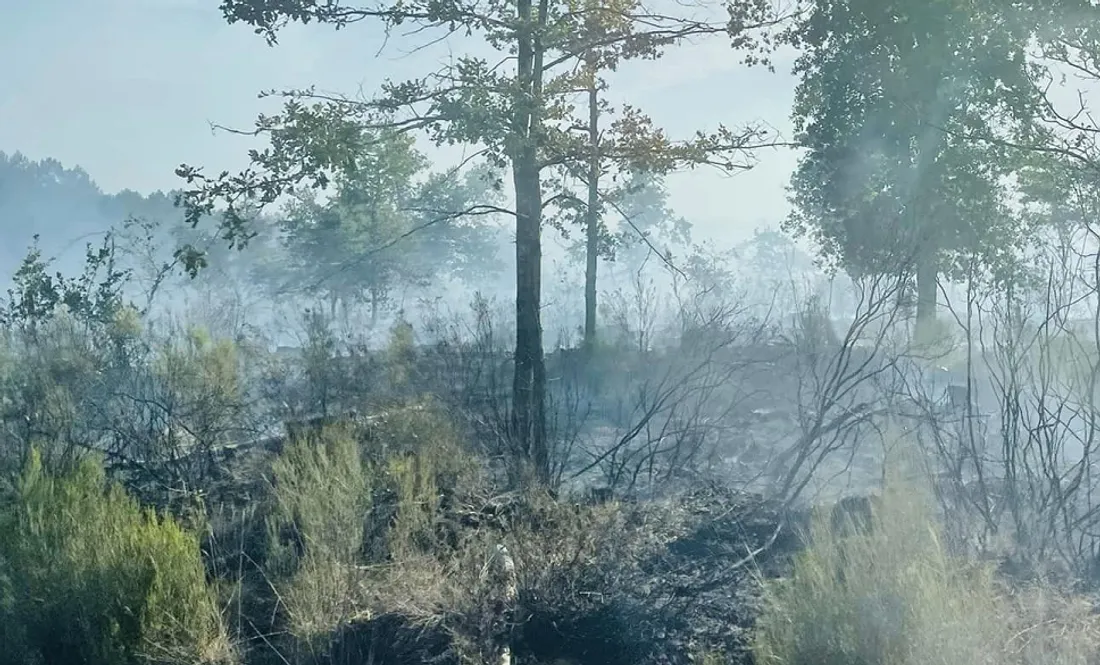 Paysage de dévastation après le passage des flammes