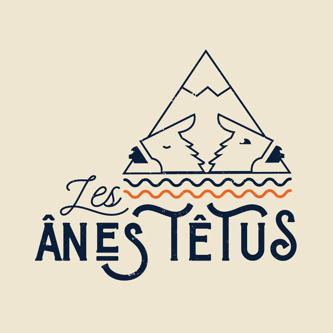 logo anes tetus
