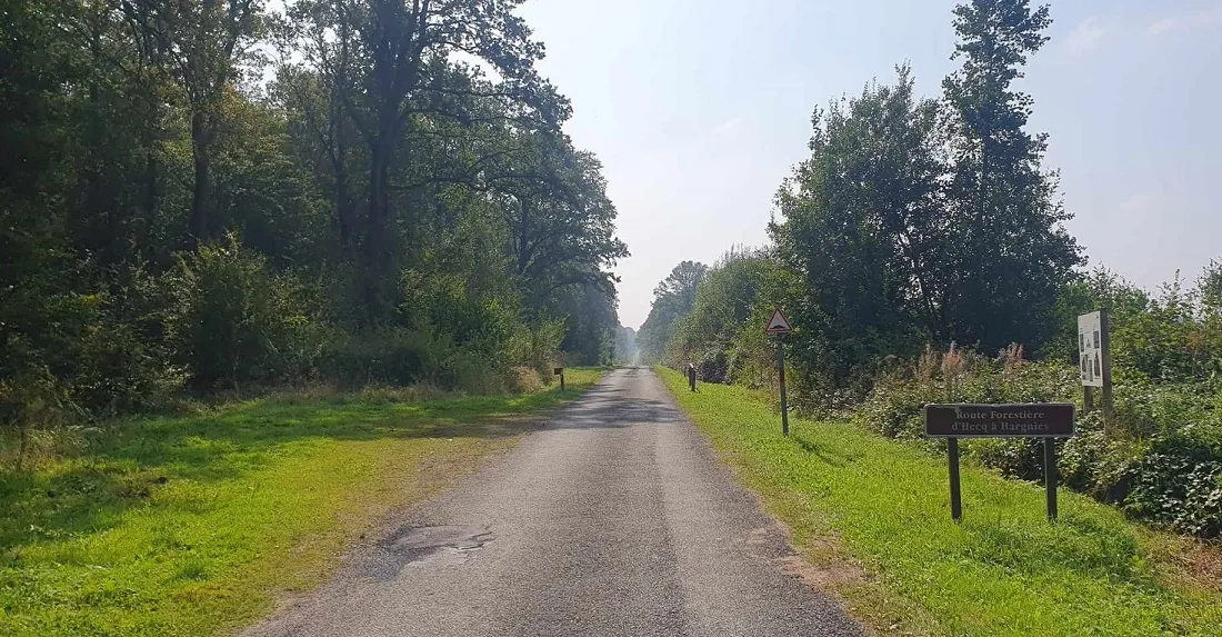 La forêt de Mormal (photo d'illustration)