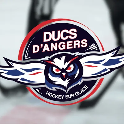 Gagnez vos places pour le match entre les Ducs d'Angers et les...