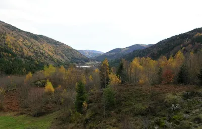 L’âge de glace dans la vallée de la Doller avec la Maison de la Terre