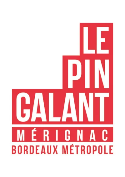 Logo Pin Galant