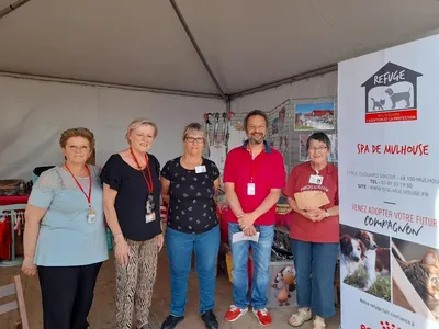 Une ambiance solidaire et bienveillante parmi les bénévoles de la SPA mulhousienne