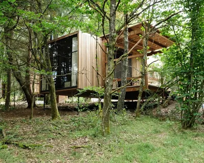 Cabane Nutchel plaine village forêt