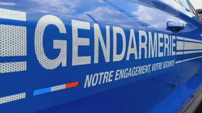 Un Orléanais écroué pour viols et tentatives de viols en...