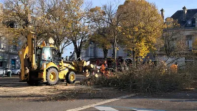 Trois arbres abattus place du 18 octobre à Châteaudun