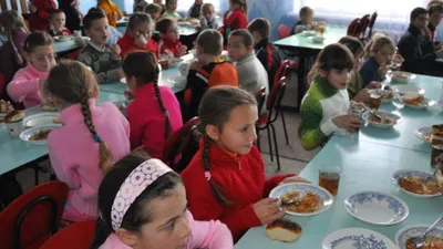 Repenser l’alimentation collectivement avec les projets...