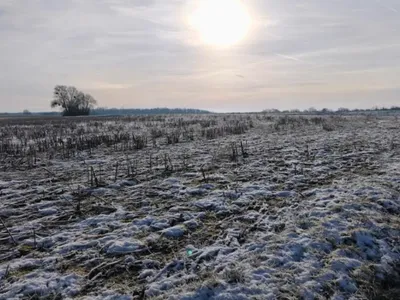 Météo : la neige est arrivée dans les Vosges