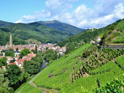 Tragique accident sur un chantier SNCF à Thann : un ouvrier perd la...