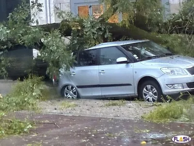 Tempête Benjamin : de nombreux dégâts en Haute-Vienne
