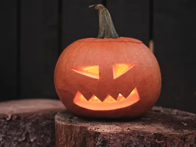 Hérault : nos idées de sorties en famille pour fêter Halloween