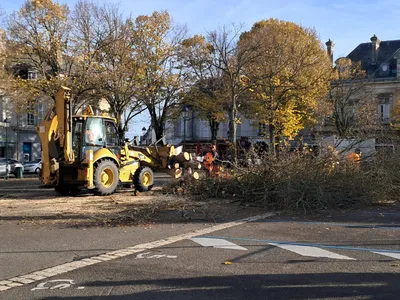 Trois arbres abattus place du 18 octobre à Châteaudun