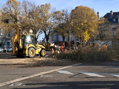 Trois arbres abattus place du 18 octobre à Châteaudun