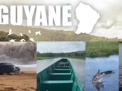 DESTINATION VOYAGE – La forêt amazonienne en Guyane