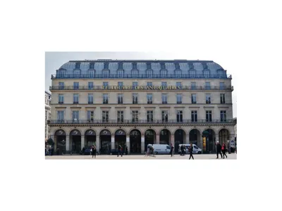 Le Phénix de l'Art Contemporain : La Fondation Cartier Fait Son...