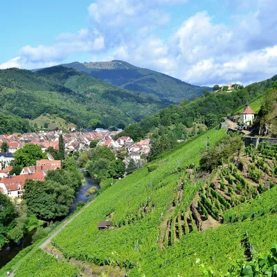 Tragique accident sur un chantier SNCF à Thann : un ouvrier perd la...