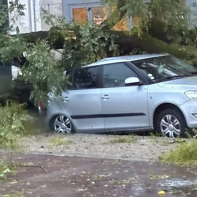 Tempête Benjamin : de nombreux dégâts en Haute-Vienne