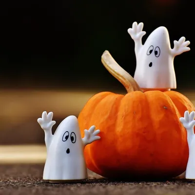 Pyrénées-Orientales : 5 idées de sorties en famille pour fêter...