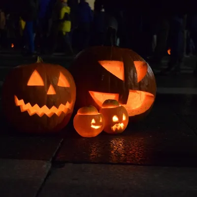 Gard : 5 idées de sorties en famille pour fêter Halloween