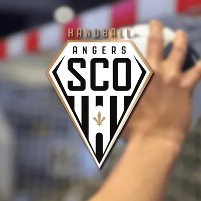 Gagnez vos places pour le match entre Angers SCO Handball et les Vikings de Caen !