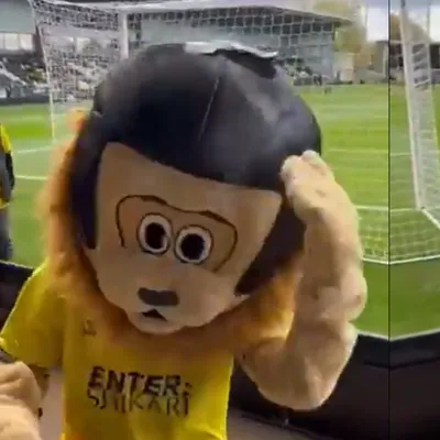 Insolite : la mascotte d’un club de foot anglais, ivre, se fait...