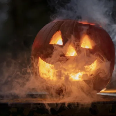 Vaucluse : 5 idées de sorties en famille pour fêter Halloween