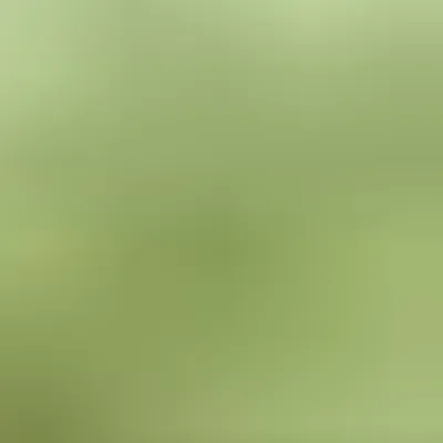 Découvrez la méthode pour arrêter de fumer aujourd'hui