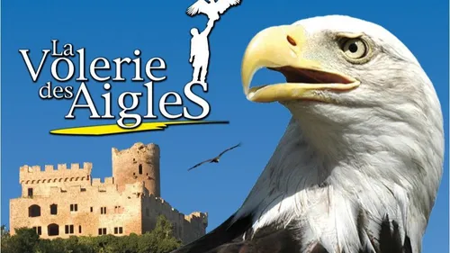 Coup dur pour la Volerie des Aigles : le site ferme temporairement...