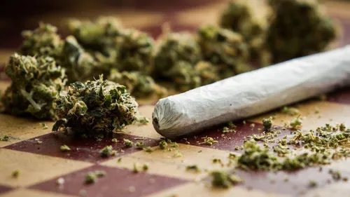 La Weedo de 8000Kicks, une sneaker en fleurs de CBD pour la...