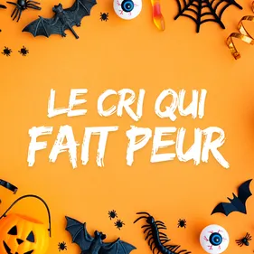 Le Cri Qui Fait Peur sur RadioVFM