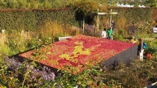 Voici les sorties insolites du mois d’août en Moselle